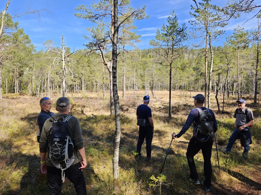 På gåtur Burudvann - Skriverberget - Kringlebånn